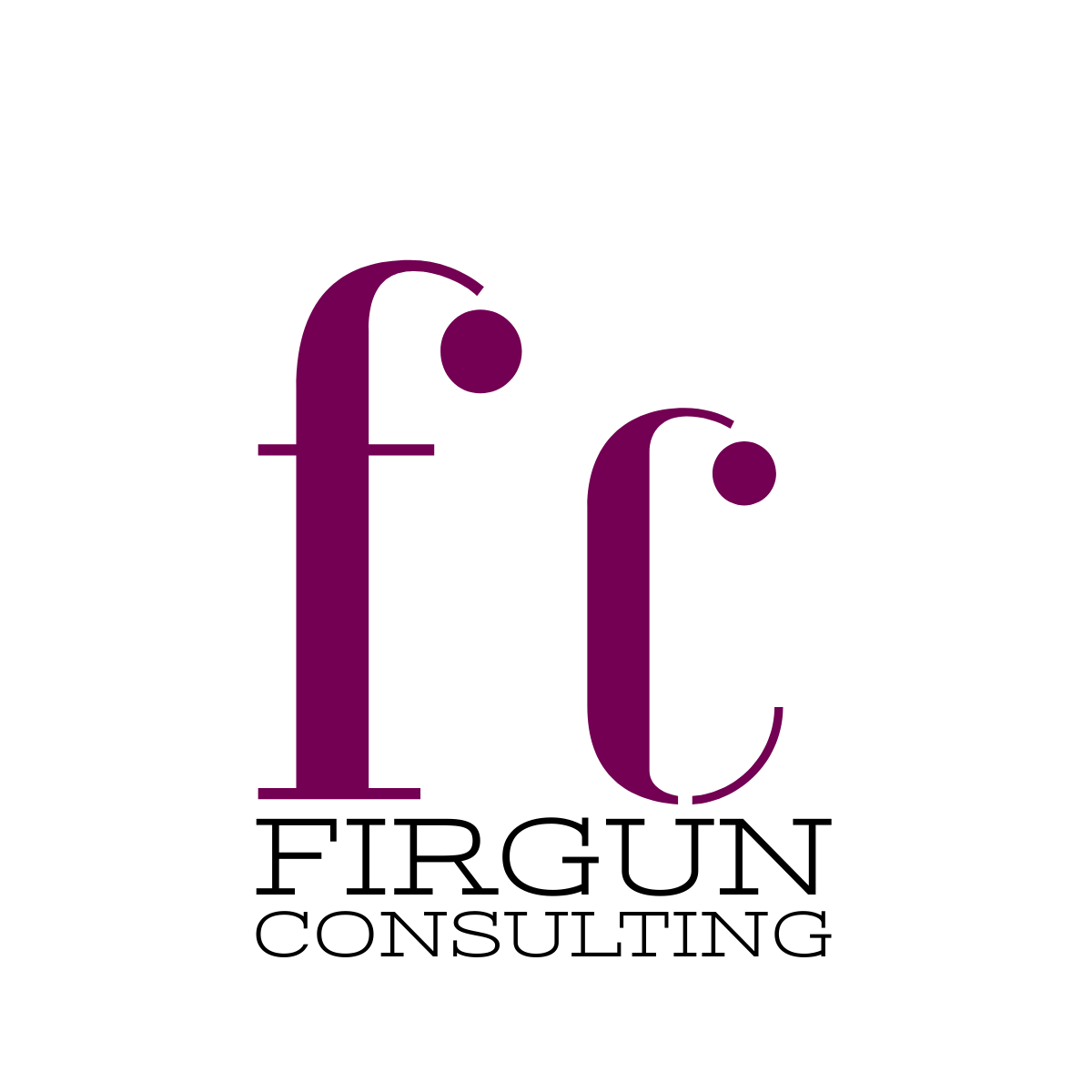 Firgun Consulting Logo